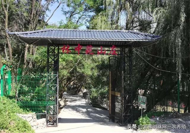 警惕网络棋牌平台陷阱，为何你应远离JDB棋牌官方网址？