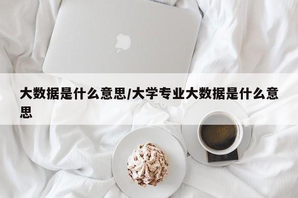 大数据是什么意思/大学专业大数据是什么意思